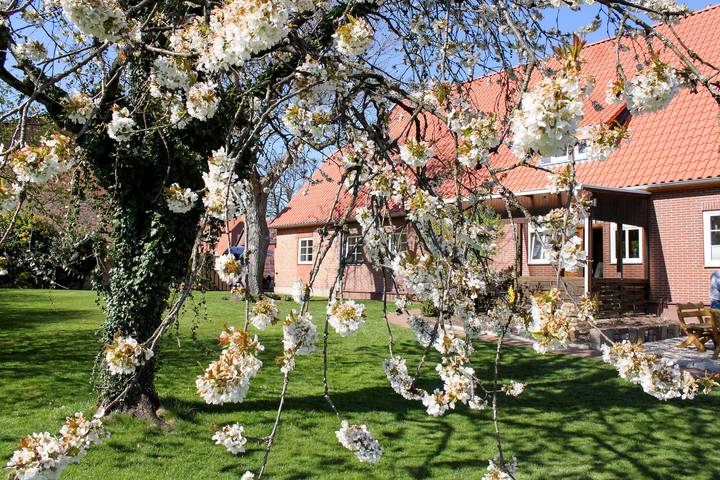 Ferienwohnung für 8 Personen, mit Terrasse und Garten in Landkreis Uelzen