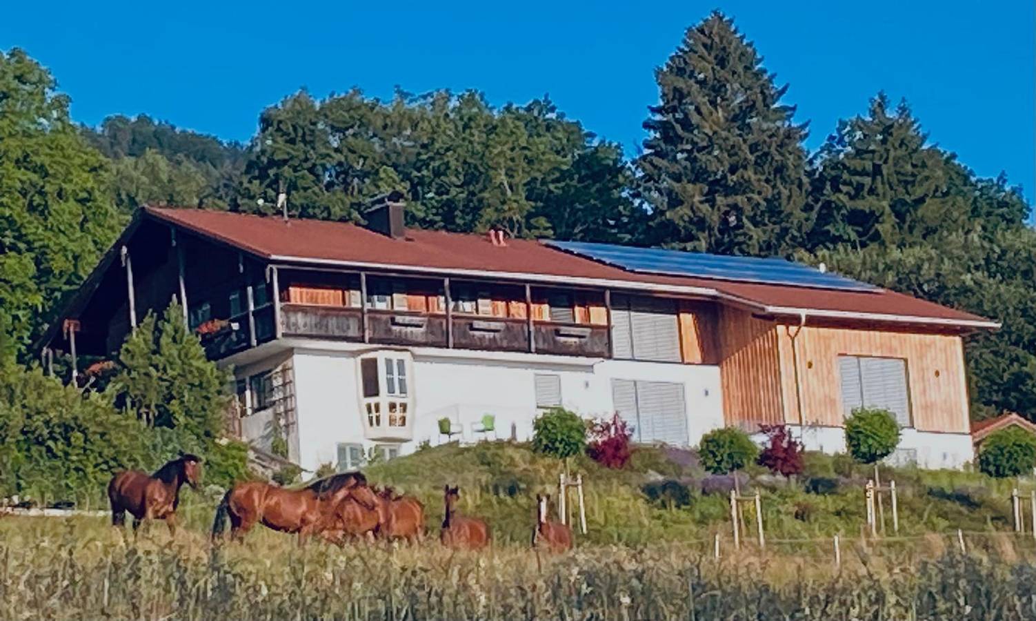 Ganze Ferienwohnung, Ferienwohnungen mit privater Sauna und traumhaften Salzwasser-Pool - Ferienwohnung 1 mit 2 Schlafzimmer, priv. Sauna und traumhaften Salzwasser-Pool in Anger, Bayerische Alpen