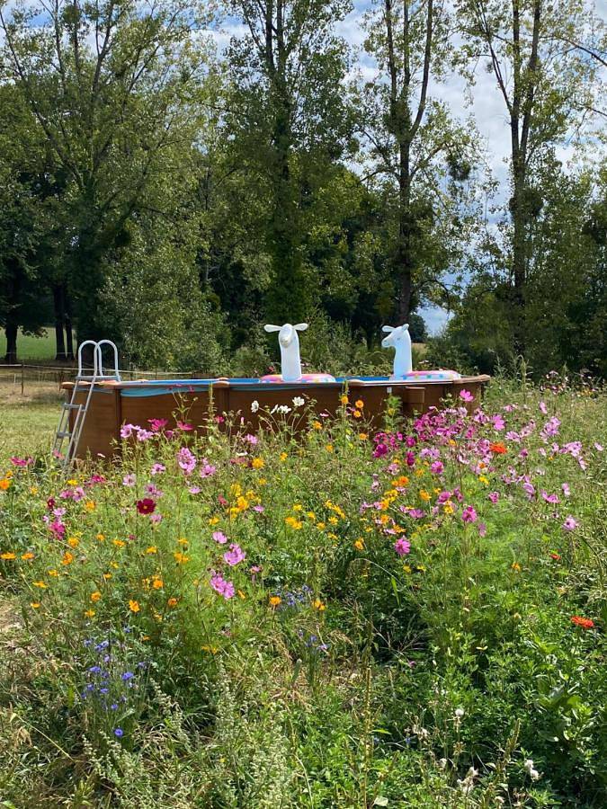 Tente pour 4 personnes, avec vue ainsi que jardin et piscine dans Périgord Vert - 2