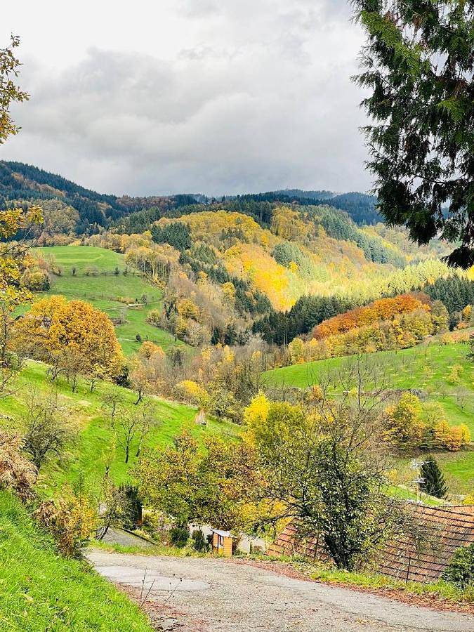 Ganze Wohnung, Apartment with Mountain View in Ottenhöfen im Schwarzwald, Mittlerer Schwarzwald