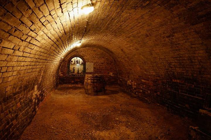 Ganze Wohnung, Ferienwohnung Wein-Bleibe - Ferienwohnung in Althöflein, Großkrut