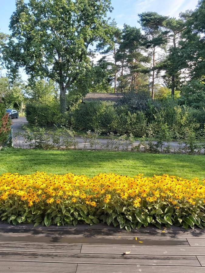 Gîte pour 4 personnes, avec vue et jardin dans Resteigne - 2