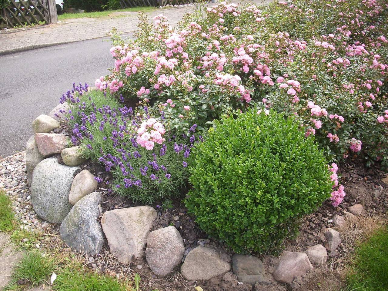 Ferienhaus Rosenduft - Ferienhaus Rosenduft in Rückeberg, Kappeln