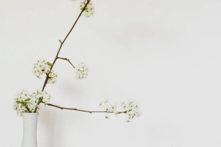 Appartement de vacances pour 4 personnes, avec jardin - 1