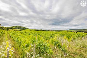 Gîte pour 4 Personnes dans Saint-Martin-sous-Montaigu, Région de Chalon-sur-Saône, Photo 1