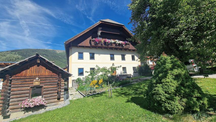 Ferienhaus, Dusche und Bad, Wc, 4 oder mehr Schlaf in Göriach, Bundesland Salzburg
