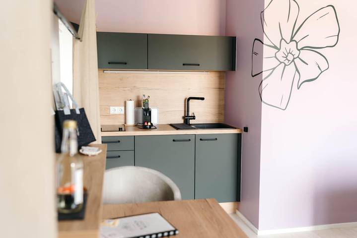 Appartement, Küche, Dusche/Wc, Terrasse, Gartenblick in Steirerland