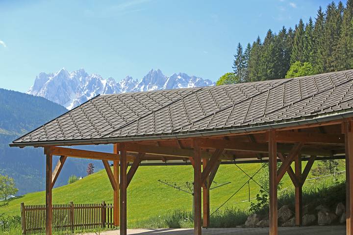 Ganze Ferienwohnung, Haus Wehrenfennig - Mandlkogl in Gosau, Dachstein Salzkammergut