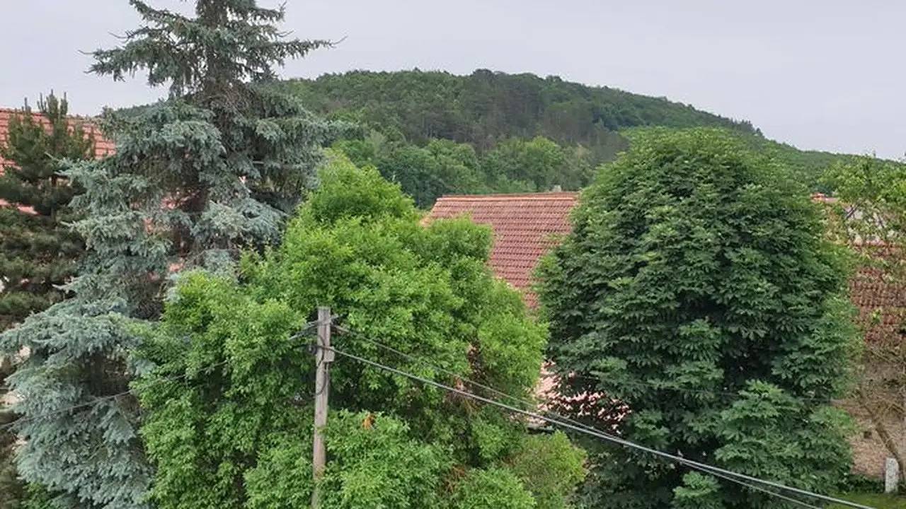 Ganze Ferienwohnung, Ferienwohnung für 4 Personen (75 m²) in Blankenhain in Blankenhain, Weimarer Land