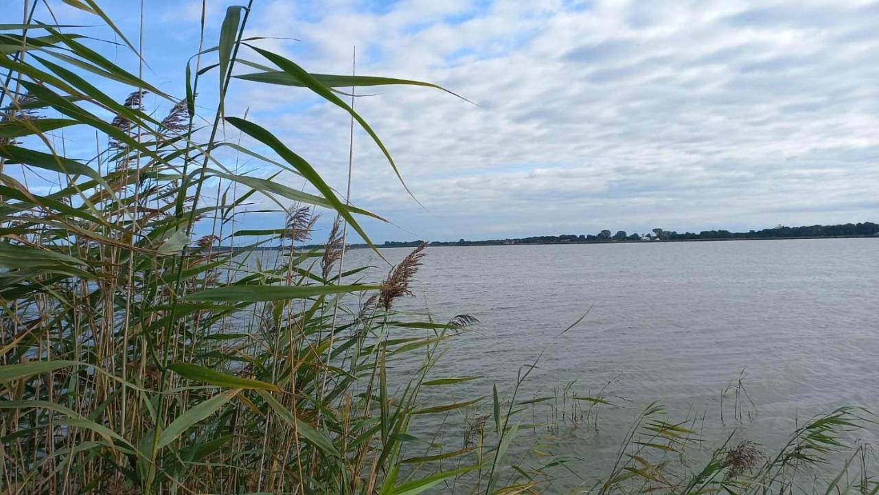 Domki u Szreka in Kołczewo, Zalew Szczeciński