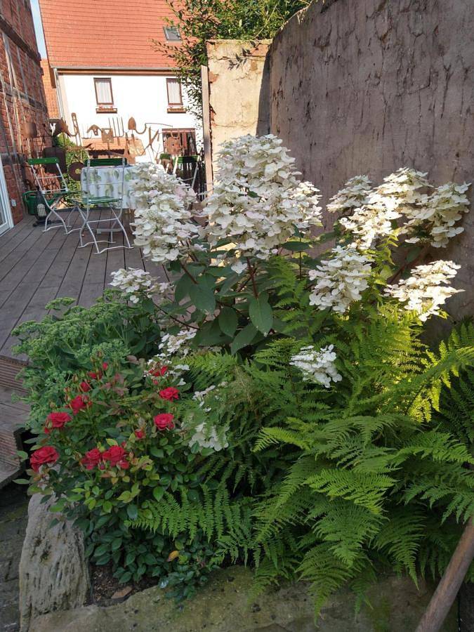 Ferienwohnung für 4 Personen, mit Terrasse und Ausblick in Wesertal - 2