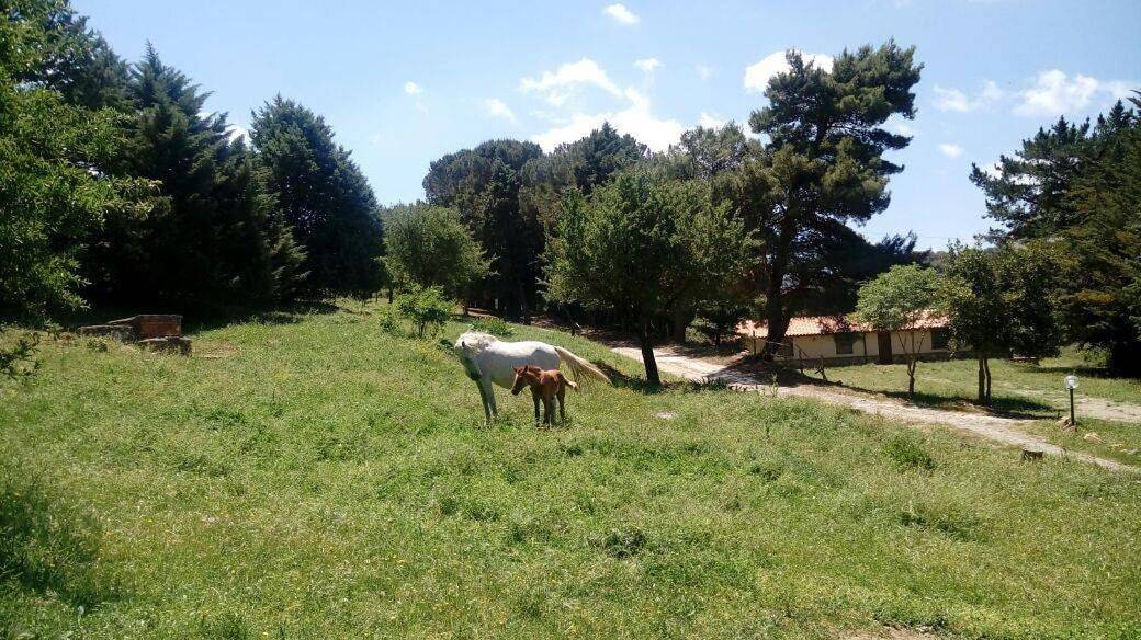 Agriturismo Bosco Pianetti in Gratteri, Provincia di Palermo