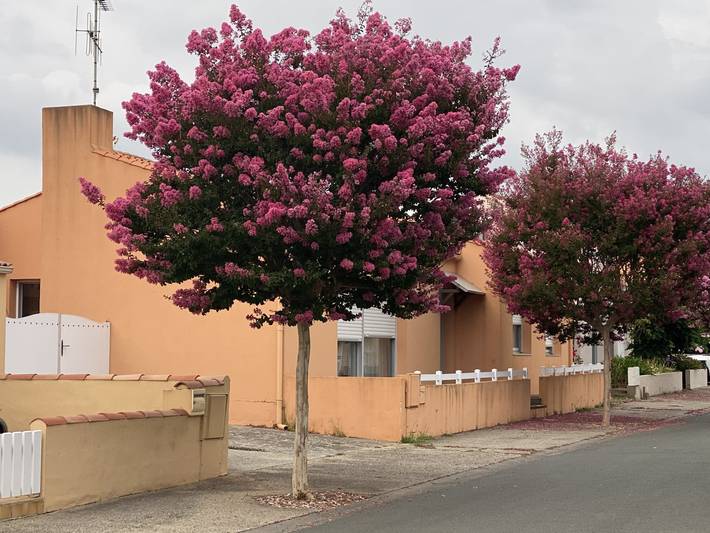 Gîte pour 5 personnes, avec terrasse et jardin, animaux acceptés à Olonne-sur-Mer - 2