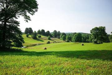 Cottage for 3 Guests in Virginia, USA, Picture 1