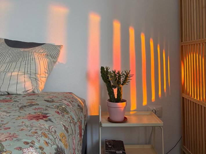 Chambre d’hôte pour 2 personnes, avec terrasse à Santa Cruz de Tenerife - 4