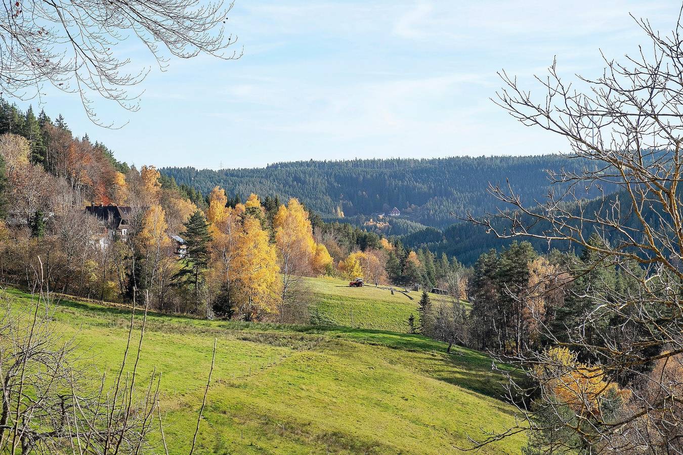 Ganze Wohnung, Ferienwohnung 'Wiesenblick' mit gemeinsamer Terrasse, Gemeinschaftsgarten und Wlan in Schramberg, Mittlerer Schwarzwald