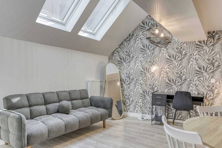 Ganze Wohnung, Grand Loft 45m2 50m Gare Annemasse in Annemasse, Saint-Julien-en-Genevois und Umgebung