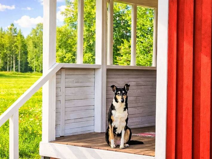 Bungalow für 5 Personen, mit Balkon und Terrasse sowie Garten in Schweden - 3