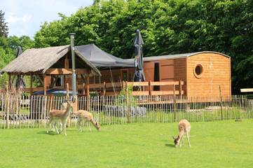 Location de vacances pour 4 personnes, avec vue ainsi que sauna et jardin à Paliseul