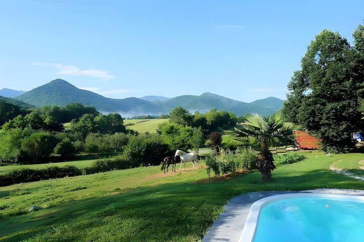 Maison de vacances pour 5 personnes, avec piscine et jardin - 1