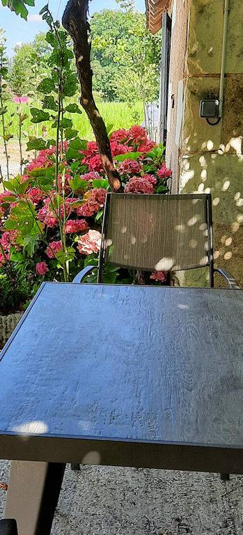 Gîte pour 6 personnes, avec terrasse et jardin, animaux acceptés dans le Loir-et-Cher - 3