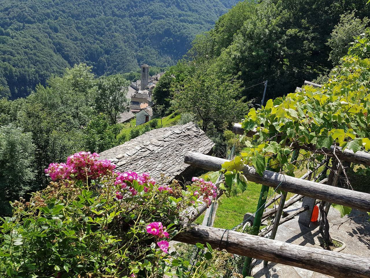 Ferienhaus 'Casa Grande' mit privatem Garten, Balkon und Wi-Fi in Falmenta, Valle Cannobina