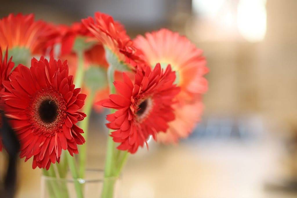 Ganze Wohnung, Universitätsstadt Juwel - Upenn / Drexel, Chop in Philadelphia, Philadelphia County