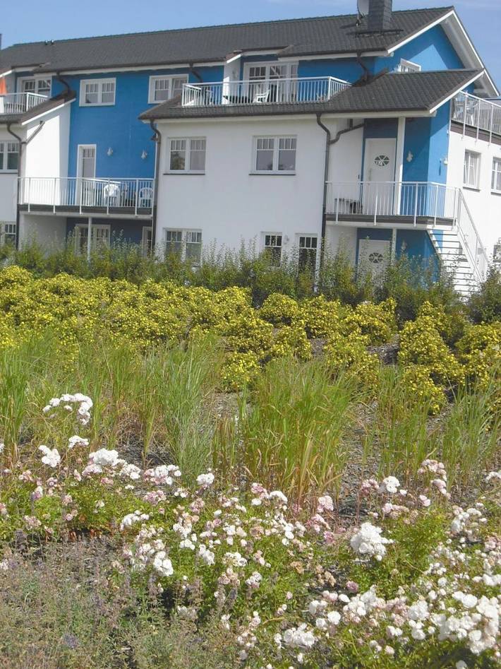 Ferienwohnung für 5 Personen, mit Balkon und Terrasse sowie Garten und Seeblick in Börgerende-Rethwisch - 3