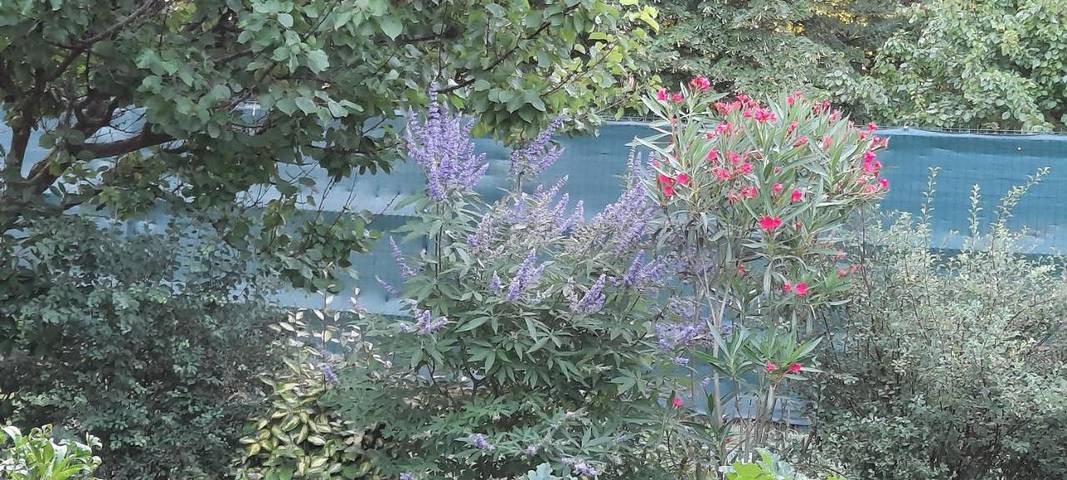Chambre d’hôte pour 2 personnes, avec terrasse et jardin ainsi que vue et piscine dans le Gard - 4