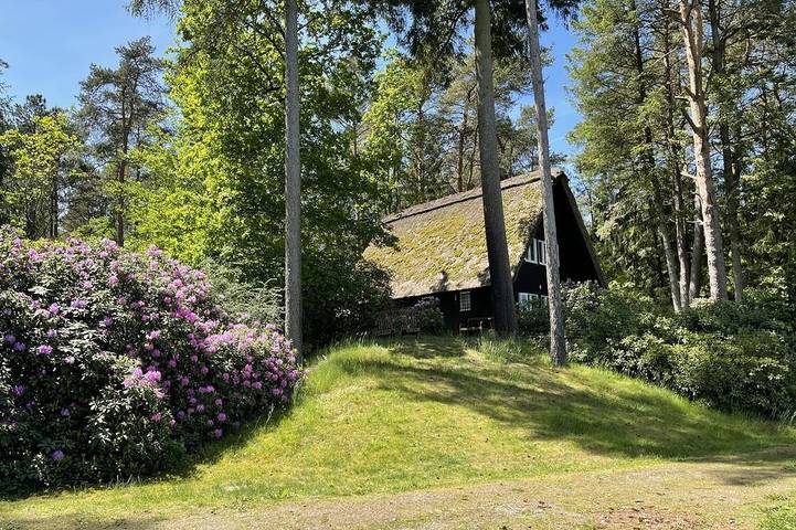 Ferienhaus für 4 Personen, mit Garten und Balkon, mit Haustier in Naturpark Südheide