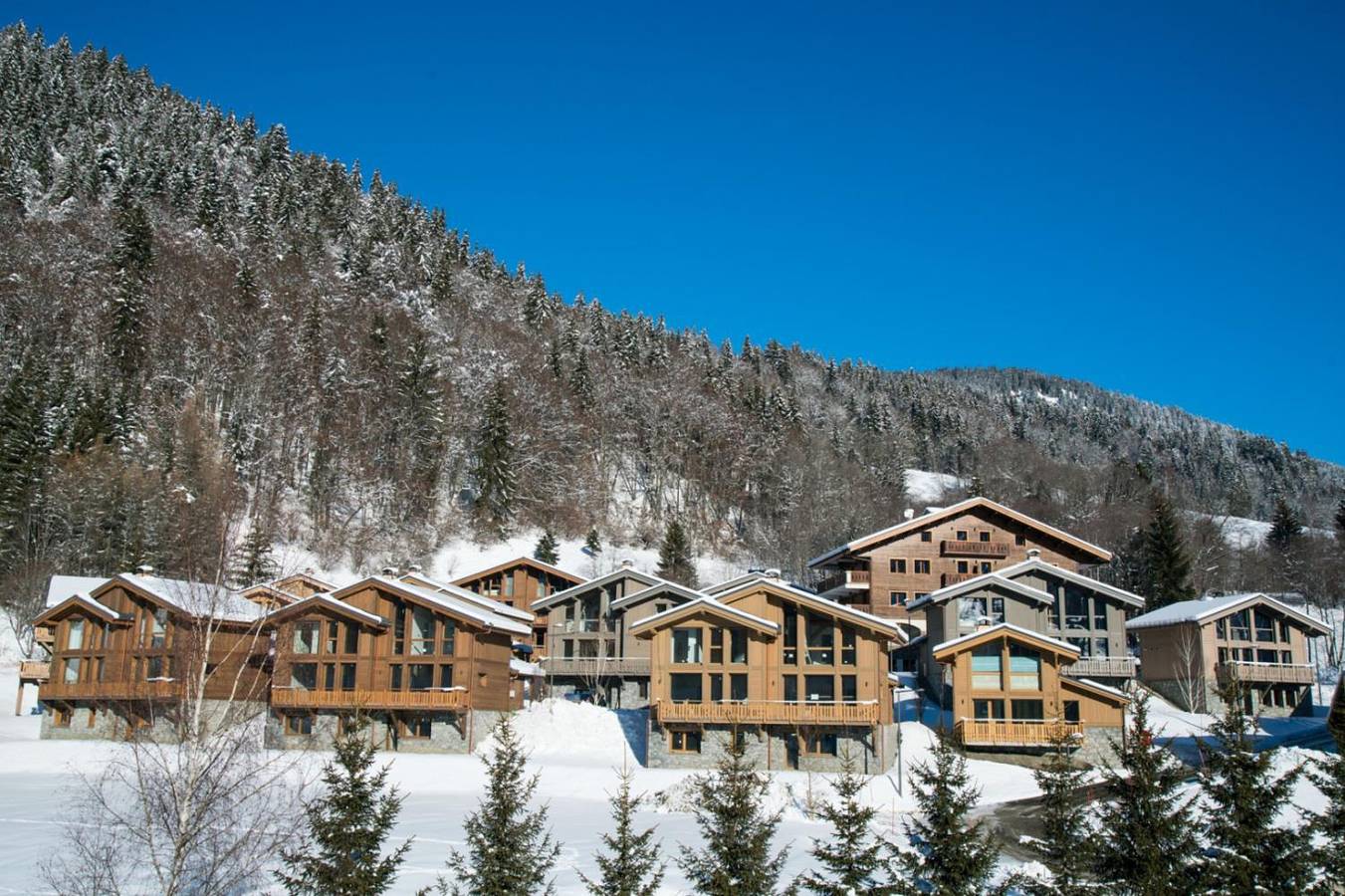 Appartement entier, Résidence Les Portes de Megève 3P6S in Praz-sur-Arly, Pays du Mont-Blanc