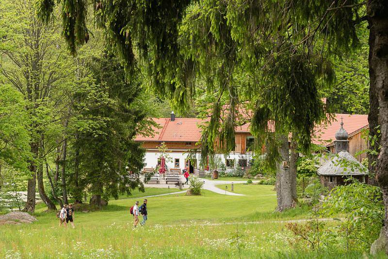 Gutsalm Harlachberg - Bauernhaus/Gästehaus in Bodenmais, Ostbayern