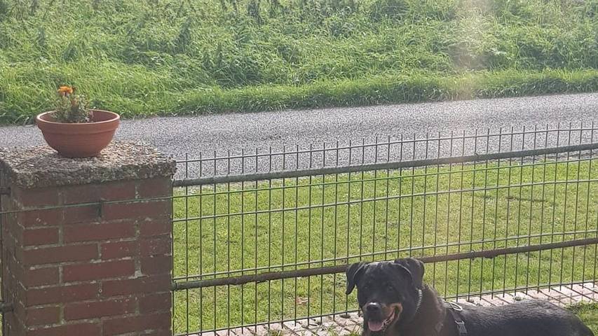 Ferienhaus für 4 Personen, mit Terrasse und Ausblick sowie Garten in Offenbüttel