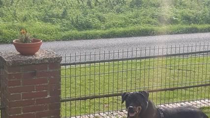 Ferienhaus für 4 Personen, mit Ausblick und Garten sowie Terrasse am Nord-Ostsee-Kanal