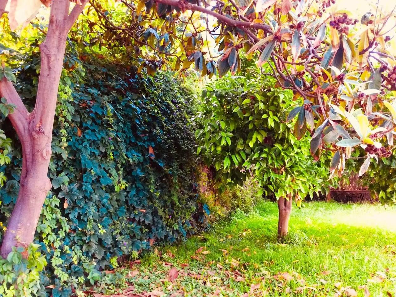 Casa 4 Personas in Acireale, Provincia de Catania
