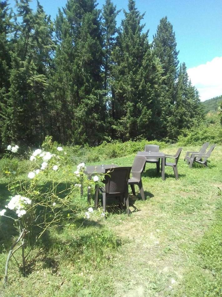 Location de vacances pour 2 personnes, avec jardin et vue, animaux acceptés à Fiesole - 4