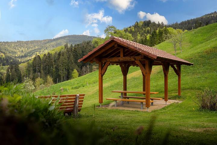 Gîte pour 3 personnes, avec jardin, animaux acceptés à Oberharmersbach - 3