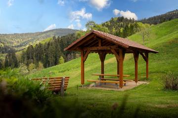 Bauernhof für 3 Personen in Oberharmersbach, Mittlerer Schwarzwald, Bild 2
