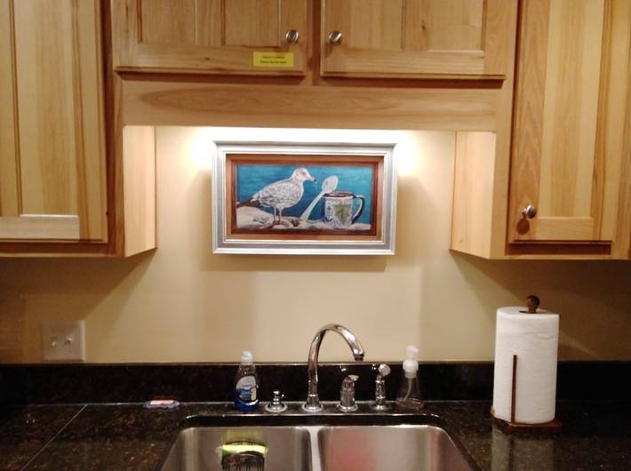 Vacation apartment for 12 people, with yard in North Carolina