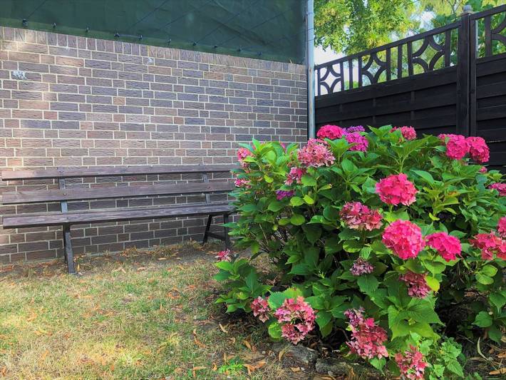 Ferienhaus für 6 Personen, mit Garten und Terrasse, kinderfreundlich in Senftenberg - 3