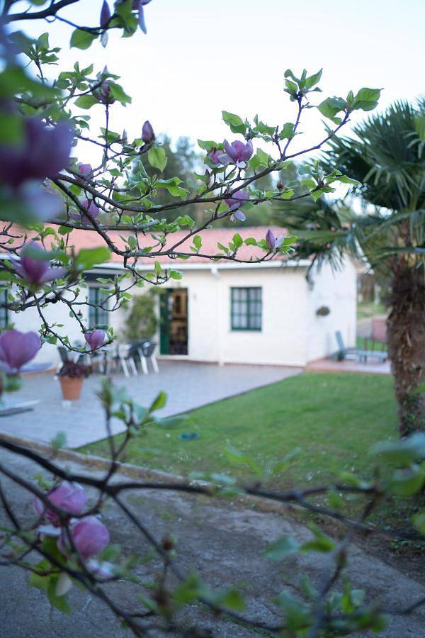 Three-Bedroom Holiday Home in Minho, Costa de Galicia