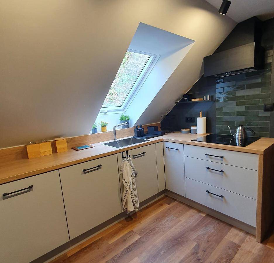 Cały apartament, One-Bedroom Apartment in Cieszyn, Beskidy