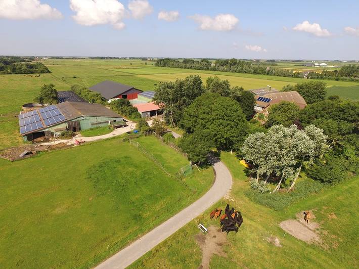 Ganze Ferienwohnung, Ferienhof Edenswarf - Fewo Schwalbennest in Nordfriesische Inseln (Schleswig-Holstein) (Schleswig-Holstein), Pellworm
