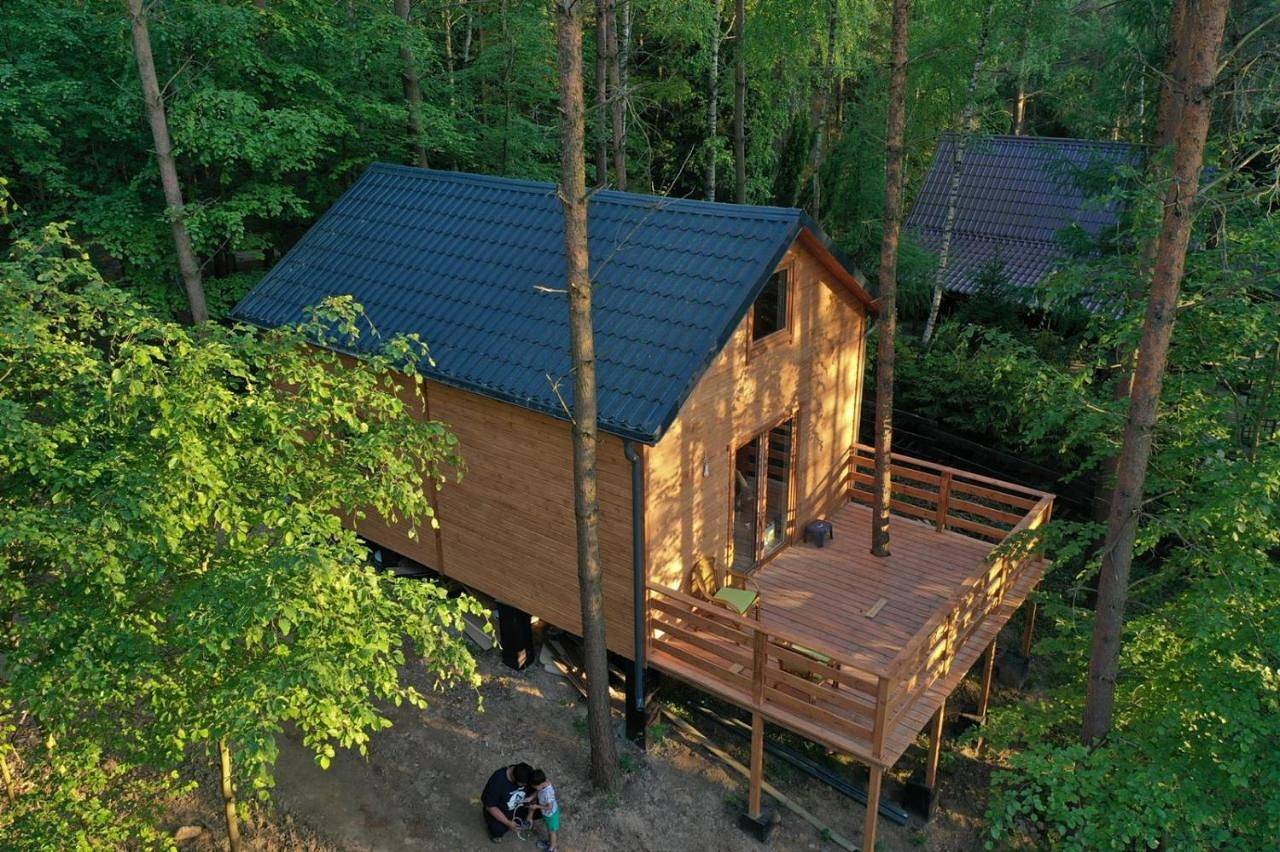 Lasoterapia (Foresttherapy) in Powiat wejherowski
