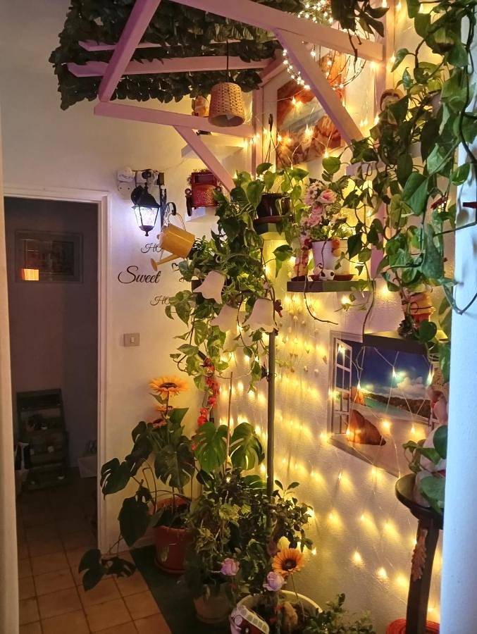 Appartamento intero, Policlinico La casa sotto il pergolato in Gravina di Catania, Catania e dintorni