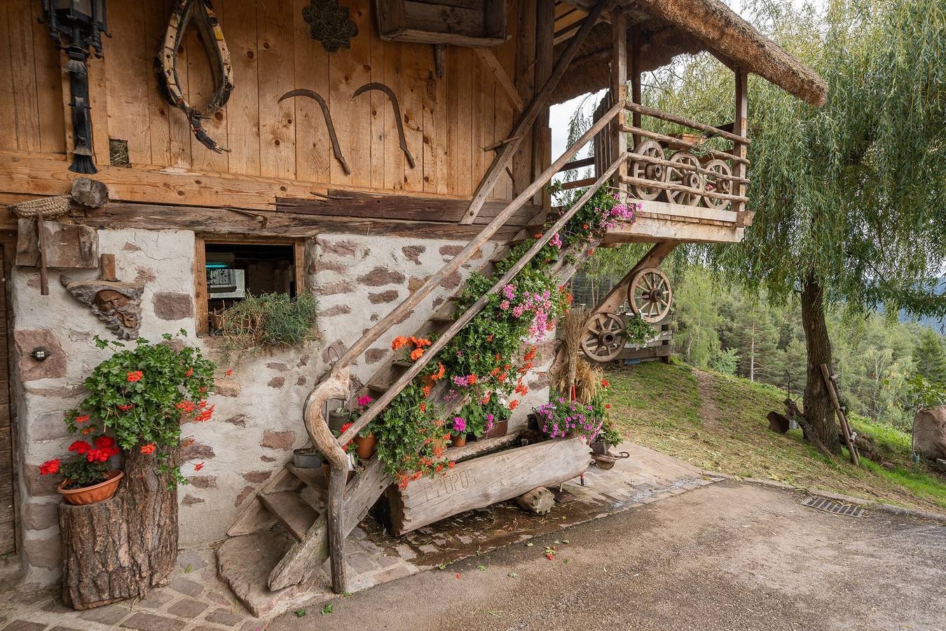 Appartement entier, Duregghof historique : appartement idyllique avec vue sur la montagne et jardin privé in Avigna, San Genesio Atesino