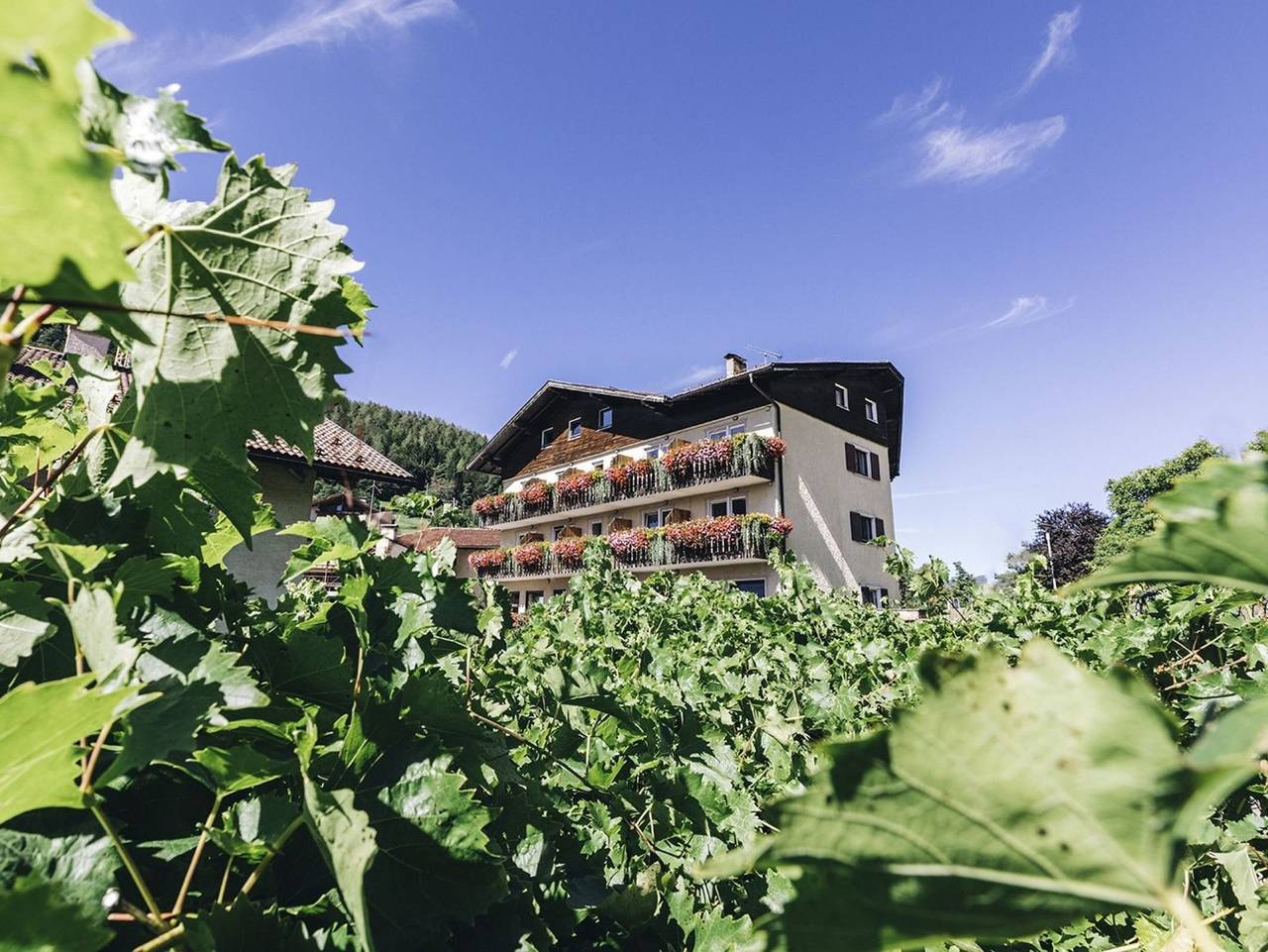 Hotel Schönwies - Einzelzimmer in Truden im Naturpark, Südtirol