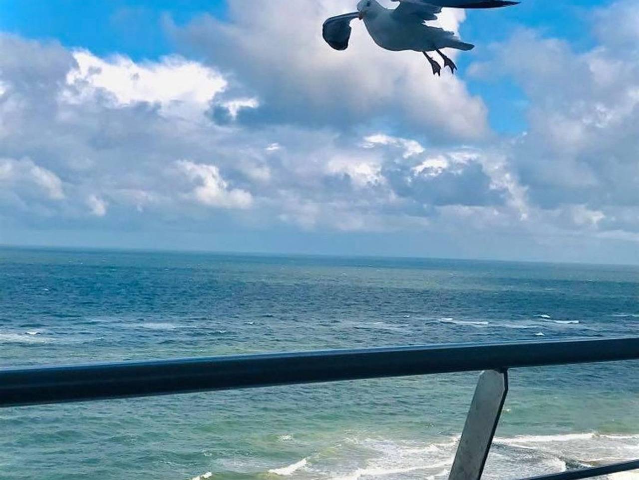 Ganze Ferienwohnung, Haus Metropol    App.103 - 1 Zimmer Appartement mit Meerblick im Haus Metropol in der Andreas-Dirks-Str. 8 in Westerland, Sylt (Gemeinde)