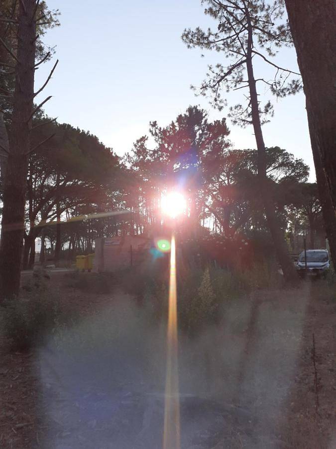 Tente pour 2 personnes, avec vue, animaux acceptés en Corse - 3