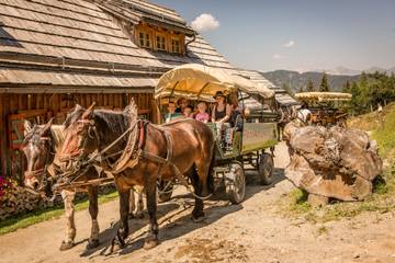 Ferienhaus für 6 Personen in Rennweg am Katschberg, Oberösterreichische Voralpen, Bild 4
